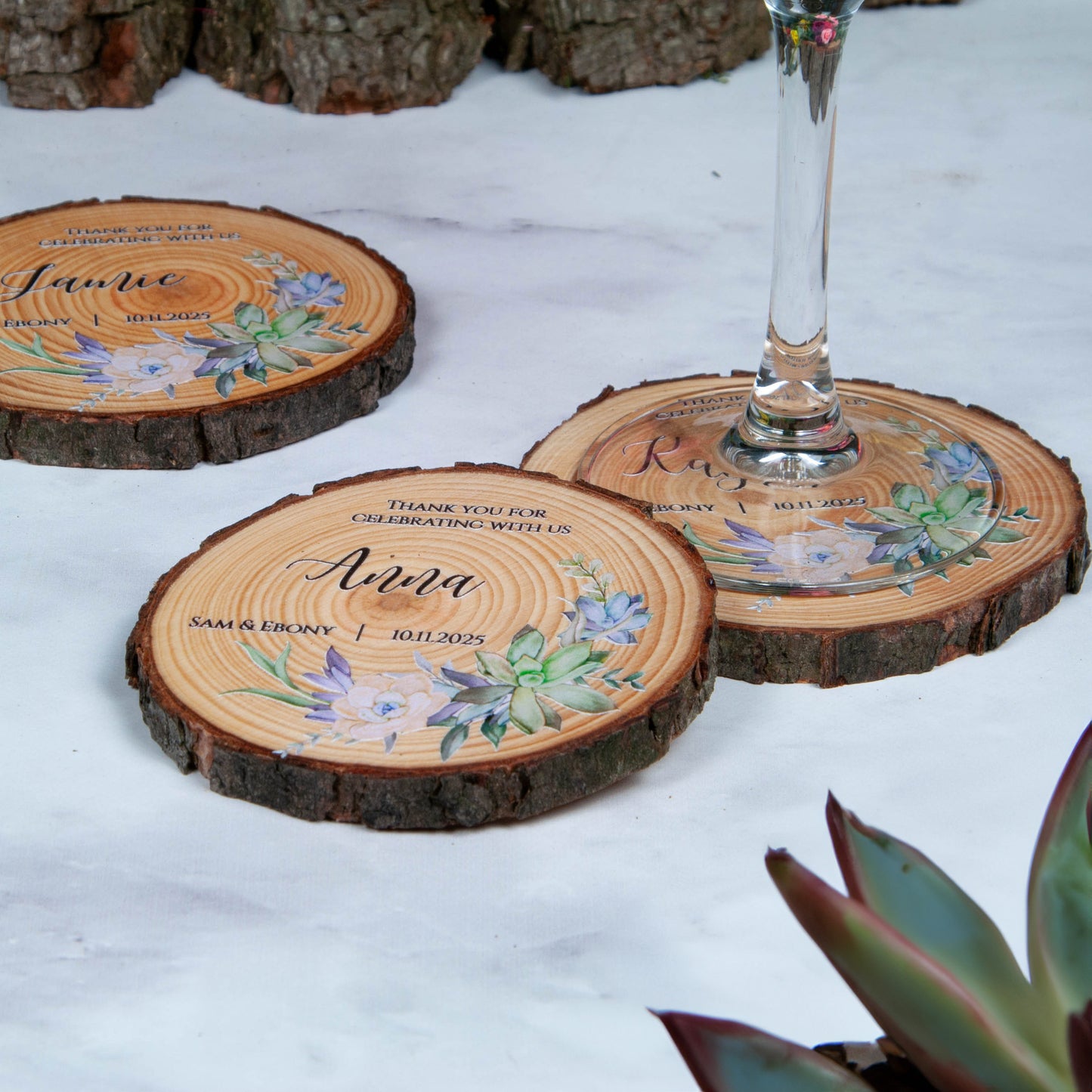 Succulent wedding favour coasters