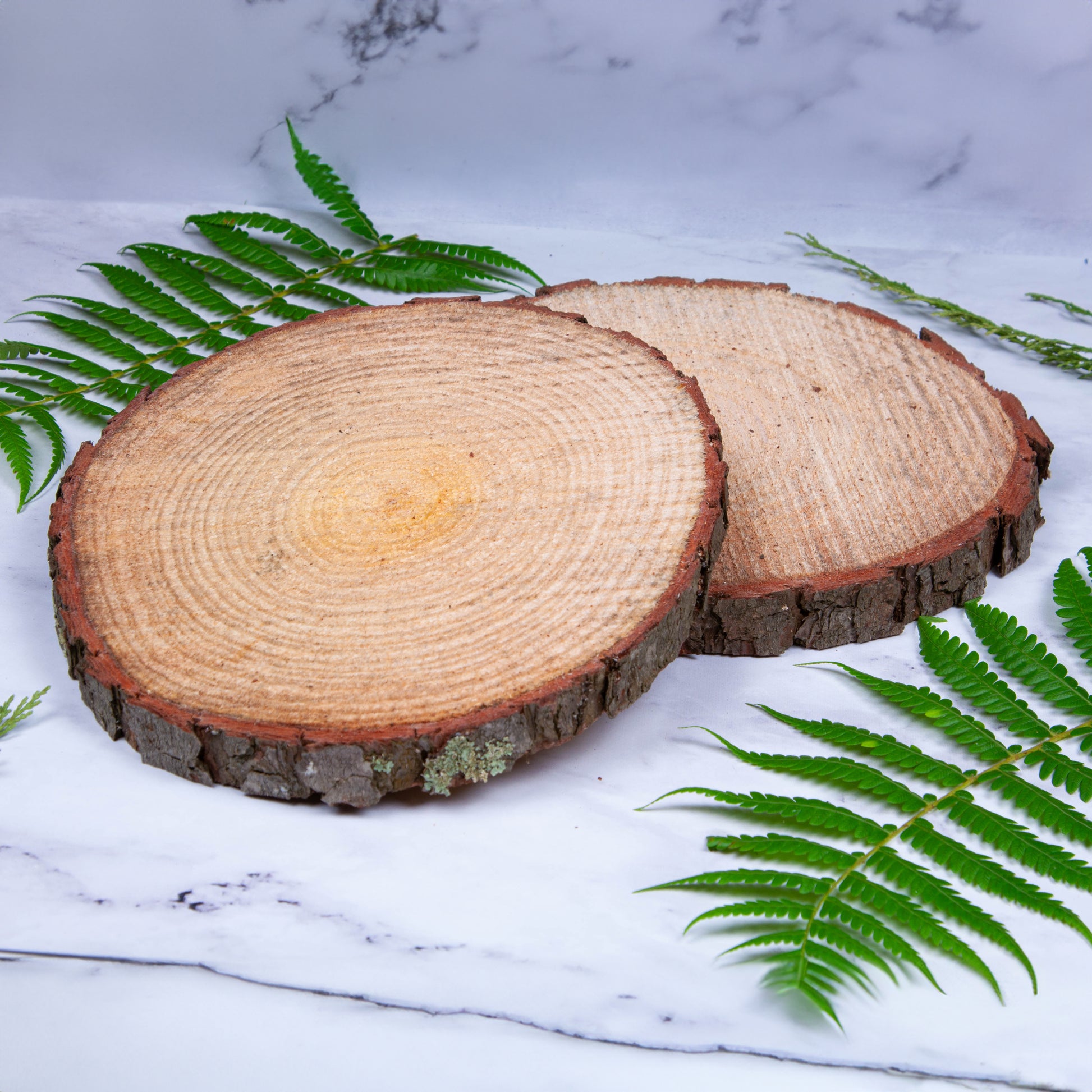 Large wood slice centerpiece bases for rustic weddings